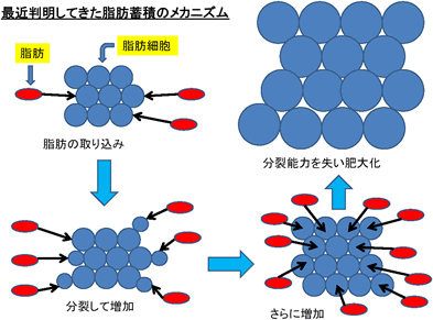 de724eff-55d4-42c1-be81-4d017726c2ec